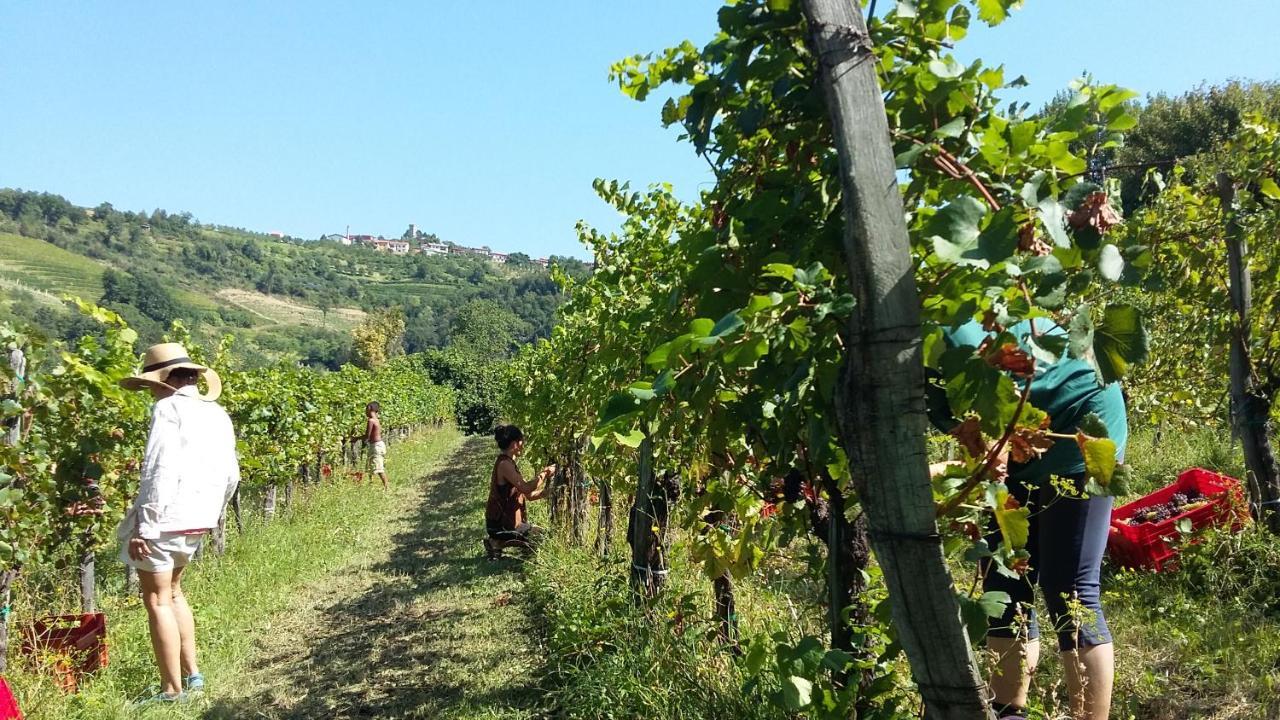 Farmstay Kmetija Stekar Kojsko Экстерьер фото