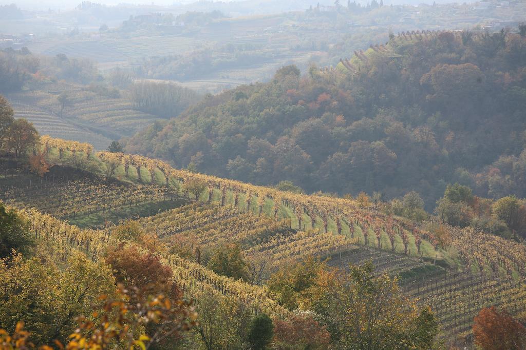 Farmstay Kmetija Stekar Kojsko Экстерьер фото
